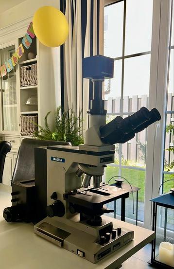 Microscope Reichert Diastar 420 E  with Zeiss AxioCam beschikbaar voor biedingen