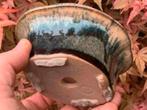 Bonsai schaal Lotus crème-groen geglazuurd 13,4x11,5x5,7, Nieuw, Ophalen of Verzenden, Overige vormen, Aardewerk