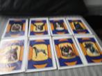 Te koop postkaarten van diverse hondenrassen, Ophalen of Verzenden, Nieuw, Honden