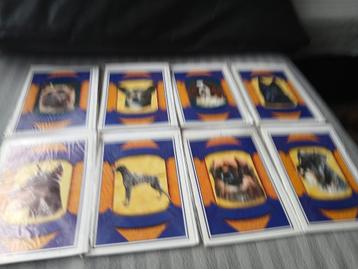 Te koop postkaarten van diverse hondenrassen beschikbaar voor biedingen
