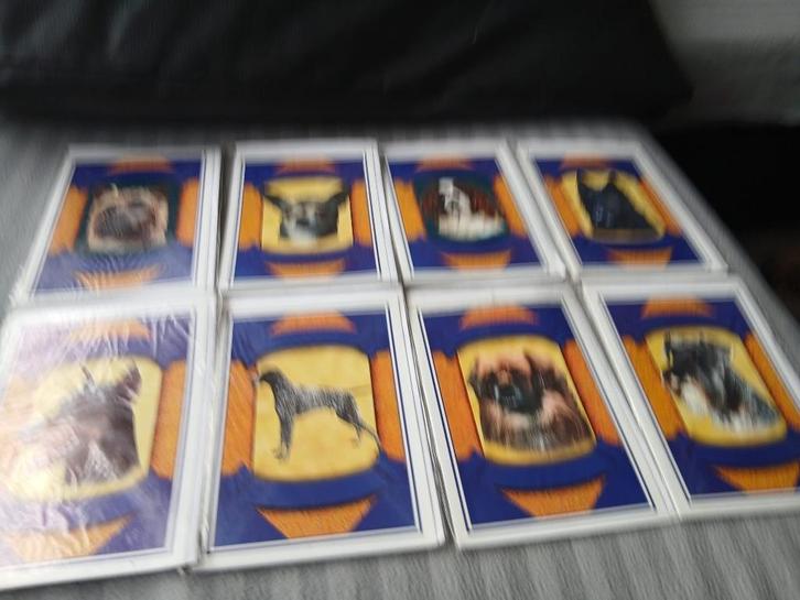 Te koop postkaarten van diverse hondenrassen, Boeken, Dieren en Huisdieren, Nieuw, Honden, Ophalen of Verzenden