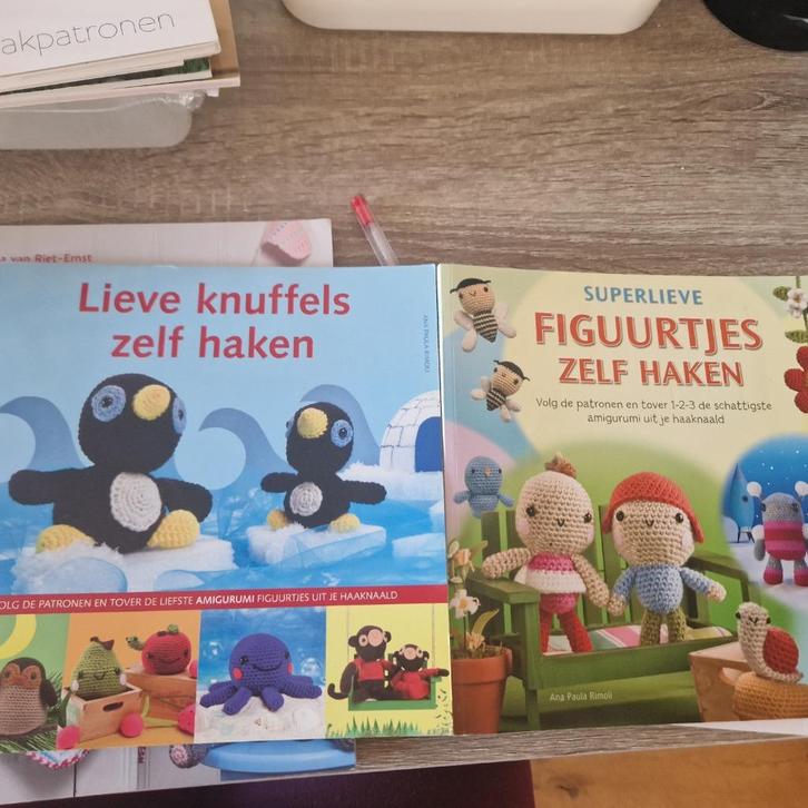 2 haakboeken Ana Paula Rimoli, Hobby en Vrije tijd, Breien en Haken, Zo goed als nieuw, Haken, Patroon of Boek, Ophalen
