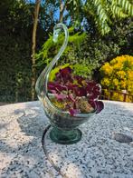 Oxalis en asparagus in een glazen zwaan vaas, Ophalen, Overige soorten, Minder dan 100 cm