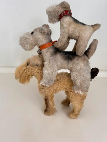 Drie oudere fox- terriers 