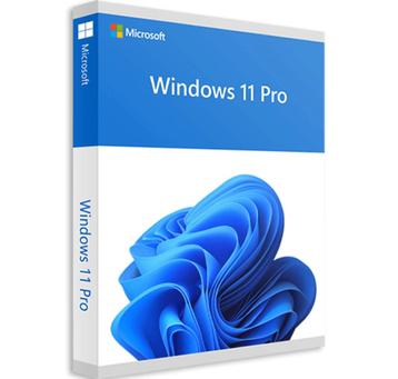Windows 11 Pro Directe licentiecode - Levenslang beschikbaar voor biedingen