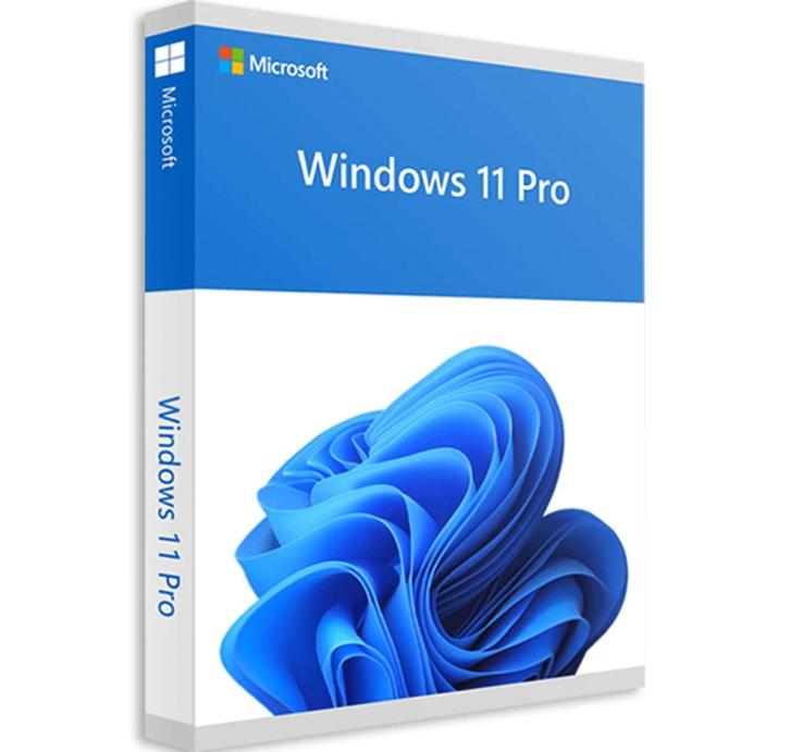 Windows 11 Pro Directe licentiecode - Levenslang, Computers en Software, Besturingssoftware, Nieuw, Windows, Ophalen