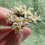 Poppenhuis bosje bloemen, Verzamelen, Poppenhuizen en Toebehoren, Ophalen of Verzenden, Poppenhuis