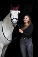 E pony, Dieren en Toebehoren, Minder dan 160 cm, B, 11 jaar of ouder, Recreatiepaard
