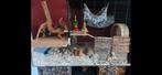 Aquarium/hamsterscaping 120x45x30, Muis, Hok, Ophalen, Minder dan 60 cm