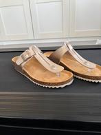 Human nature slippers maat 42, Ophalen of Verzenden, Zo goed als nieuw