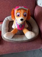 Paw Patrol Dino Rescue, Skye 40 cm (Nijmegen oost), Ophalen of Verzenden, Zo goed als nieuw, Hond