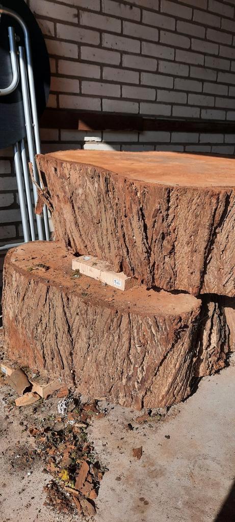 Vleugelnoten boomstammen, Tuin en Terras, Palen, Balken en Planken, Zo goed als nieuw, Palen, Minder dan 180 cm, Ophalen