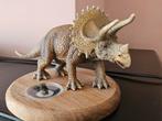 Triceratops met echte tand, Verzamelen, Mineralen en Fossielen, Ophalen of Verzenden, Fossiel