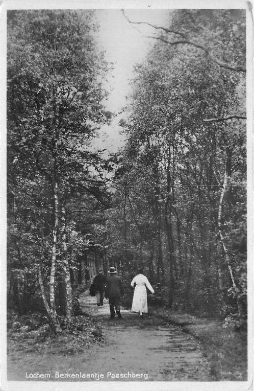(387-268-023) Lochem Berkenlaantje Paaschberg, Verzamelen, Ansichtkaarten | Nederland, Gelderland, Verzenden
