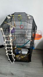 Vogel Kooi met spullen, Ophalen of Verzenden, Zo goed als nieuw, Hout, Vogelkooi