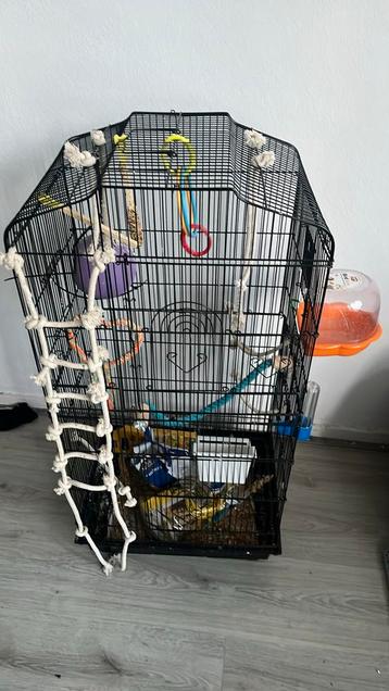 Vogel Kooi met spullen beschikbaar voor biedingen
