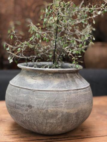 Grijs tuimelkruikje beschikbaar voor biedingen