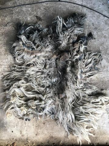  Viltvachten wol voor vachtvilten & spinwol bio schapenvacht beschikbaar voor biedingen