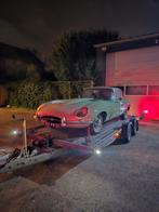 Autotransport binnen/buitenland, Chauffeursdiensten