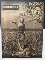 Oude tijdschriften van Voor en rond de oorlog, Ophalen of Verzenden, 1940 tot 1960, Tijdschrift