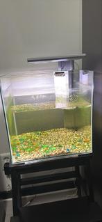Superfish Qubiq 30 Pro 32x32x42.5 cm - Aquaria, Dieren en Toebehoren, Ophalen of Verzenden