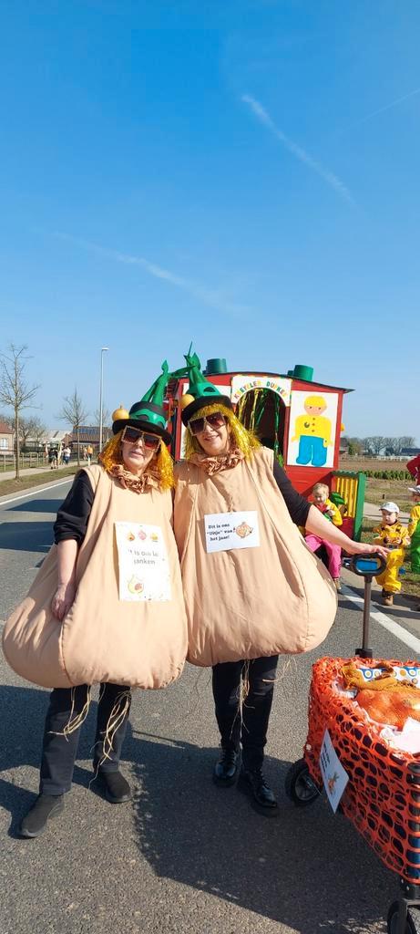 Carnaval loopgroep duo /of meer, Kleding | Dames, Carnavalskleding en Feestkleding, Zo goed als nieuw, Carnaval, Ophalen