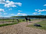 Paddock paradijs, stalling, track, Dieren en Toebehoren, Stalling en Weidegang, Stalling