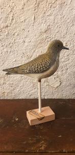 Vintage educatief Frans schoolmodel vogel goudplevier, Ophalen of Verzenden