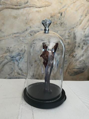 Prachtige Nieuw Opgezette Vleermuis In Stolp Taxidermie beschikbaar voor biedingen