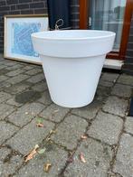Witte bloempot, Ophalen, Kunststof, Minder dan 60 cm, Rond