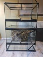 Terrarium Exo Terra 60x45x45 x2, Dieren en Toebehoren, Reptielen en Amfibieën | Toebehoren, Ophalen, Gebruikt, Terrarium of Paludarium