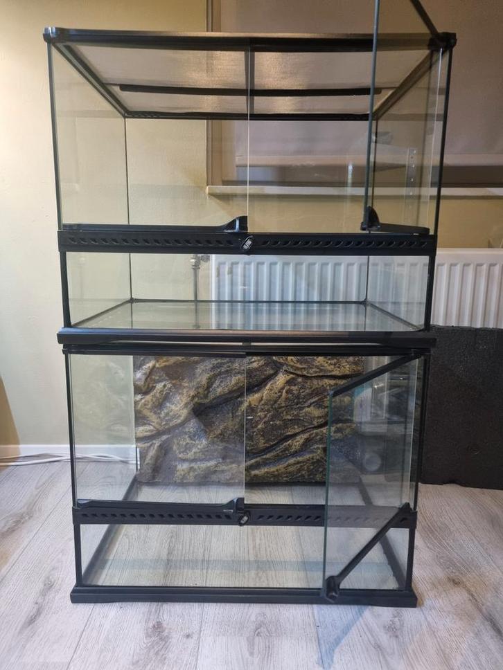 Terrarium Exo Terra 60x45x45 x2, Dieren en Toebehoren, Reptielen en Amfibieën | Toebehoren, Gebruikt, Terrarium of Paludarium