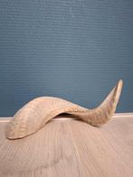 Ramshoorn - Decoratief Natuurproduct, Ophalen of Verzenden