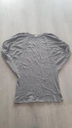 Grijze Trui met Vleermuismouw Maat L Merk Royal Queen, Ophalen of Verzenden, Zo goed als nieuw, Maat 42/44 (L), Grijs