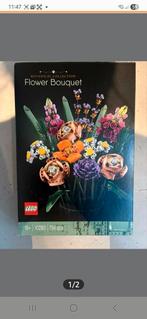 LEGE DOOS Lego 10280, Kinderen en Baby's, Speelgoed | Duplo en Lego, Ophalen of Verzenden, Zo goed als nieuw