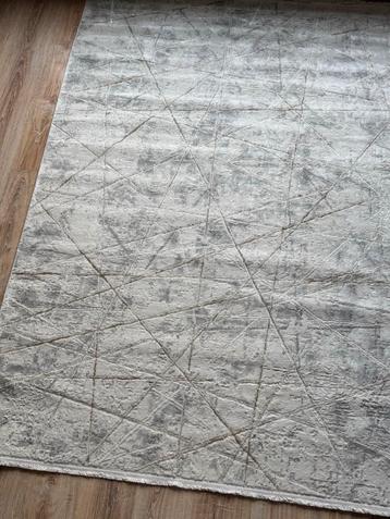 Modern Grijs/Witte RechthoekigTapijt/ModernGrey&Beige Carpet beschikbaar voor biedingen