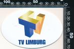 Sticker: TV Limburg (Goud), Verzamelen, Stickers, Film, Tv of Omroep, Ophalen of Verzenden, Zo goed als nieuw