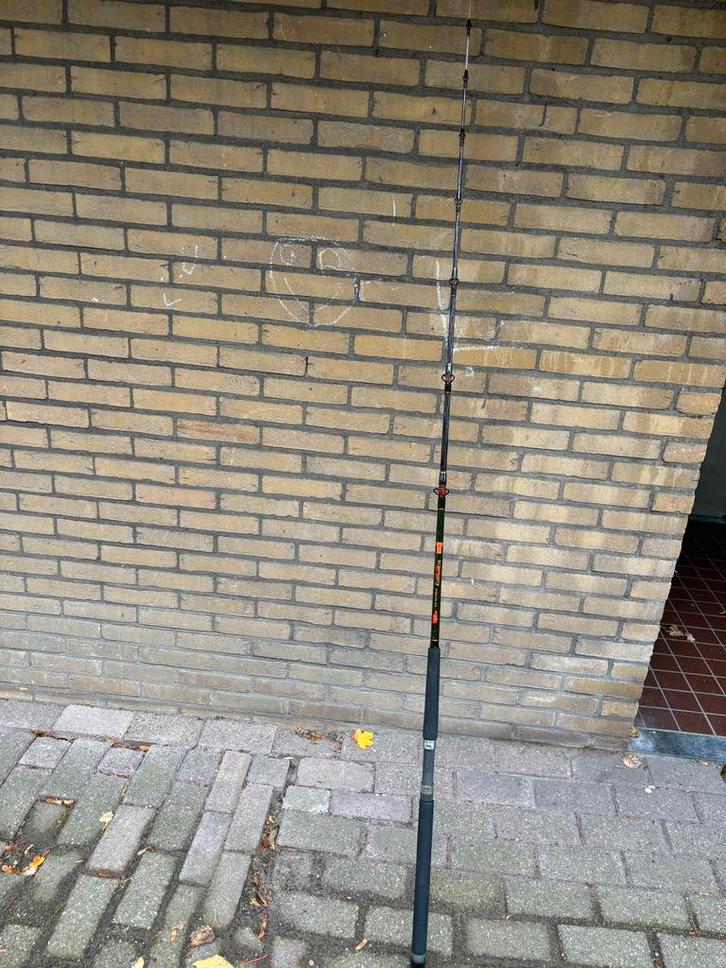 Diverse Zeehengels te Koop!, Watersport en Boten, Hengelsport | Zeevissen, Zo goed als nieuw, Werphengel, Ophalen of Verzenden