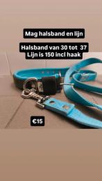 Honden halsband en riem van MAG, Dieren en Toebehoren, Ophalen of Verzenden, Zo goed als nieuw