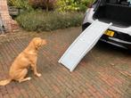 Honden loopplank inklapbaar, Dieren en Toebehoren, Ophalen, Zo goed als nieuw