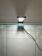 LED lampje voor aan aquarium, Ophalen of Verzenden, Zo goed als nieuw, Verlichting of Verwarming