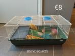 Hamsterkooi, Dieren en Toebehoren, Kooi, Gebruikt, Minder dan 75 cm, Hamster