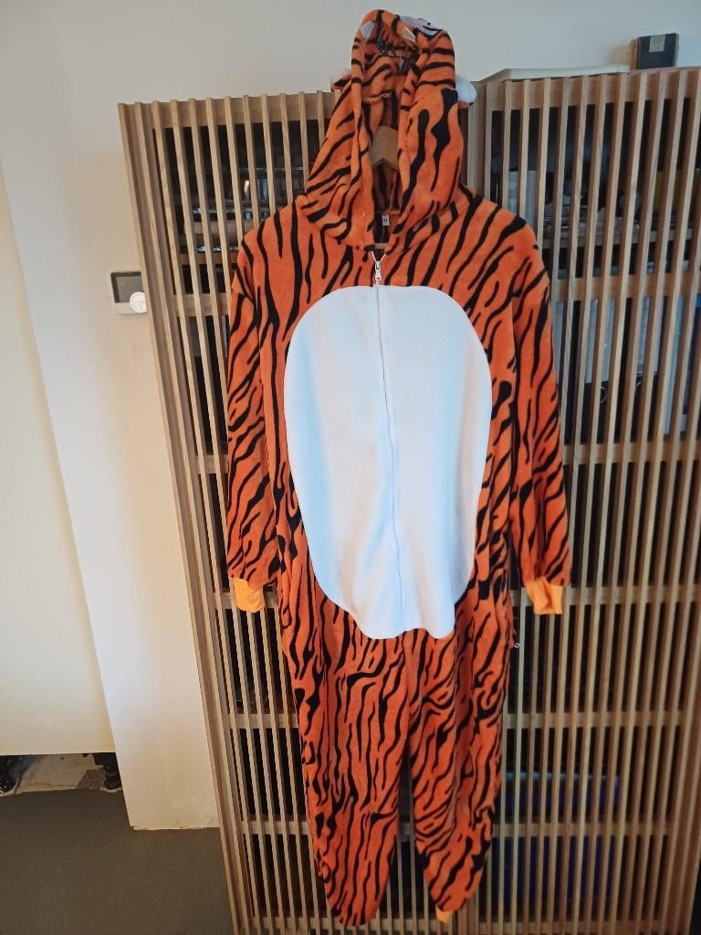 Verkleed kleding, Ophalen, Zo goed als nieuw, 170 of groter, Jongen of Meisje