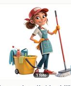 Schoonmaakster aangeboden