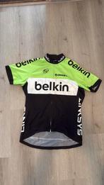 Wielrenner shirt - Belkin - Giant maat L, Fietsen en Brommers, Fietsaccessoires | Fietskleding, Overige merken, Gebruikt, Heren