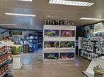 de Watermolen – Specialist in tropische vissen & aquariums, Vis, Zoetwatervis, Schoolvis