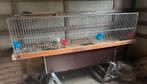 T.T kooi te koop!, Dieren en Toebehoren, Ophalen of Verzenden, Gebruikt, Hout, Vogelkooi