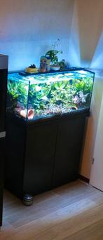 Juwel 110L Aquarium met Meubel, Heater & LED Lampen, Ophalen of Verzenden, Gebruikt, Overige typen