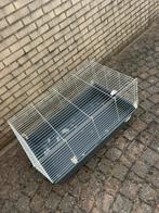 Cavia hok MOET SNEL WEG, Ophalen