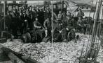 Vlieland ansjovis vissers, Ophalen of Verzenden, Voor 1920, Ongelopen, Waddeneilanden